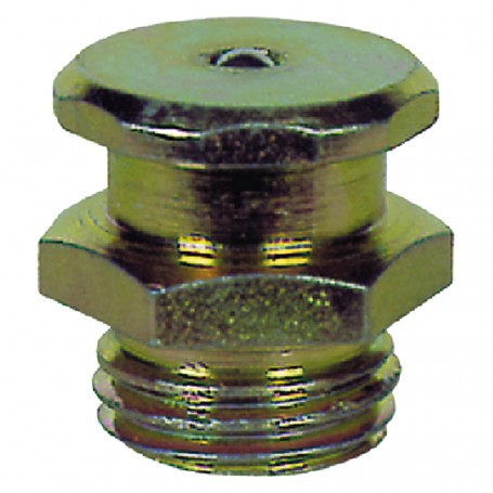 INGRASSATORE TIPO TECALEMIT 1/8"
