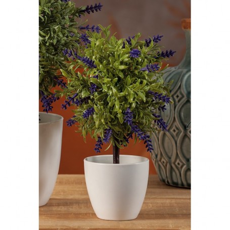 *PIANTINA LAVANDA IN VASO 53673