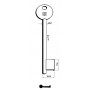 CHIAVI SILCA PATENT CORNI PARI 6P7D NI