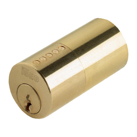 BL ISEO 852 CILINDRO FISSO P\SERRATURA DA APPLICARE