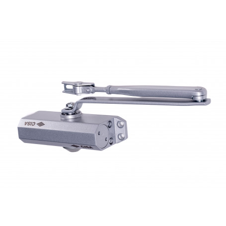 CISA ART. 60460 CHIUDIPORTA S-ARRESTO ARGENTO