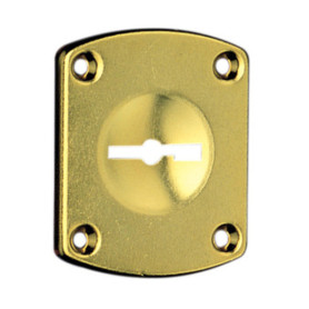 CR 31 MOSTRINA P\SERRATURA DM DORATA C\INCAVO 8MM