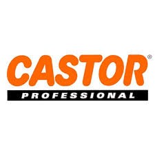 CASTOR